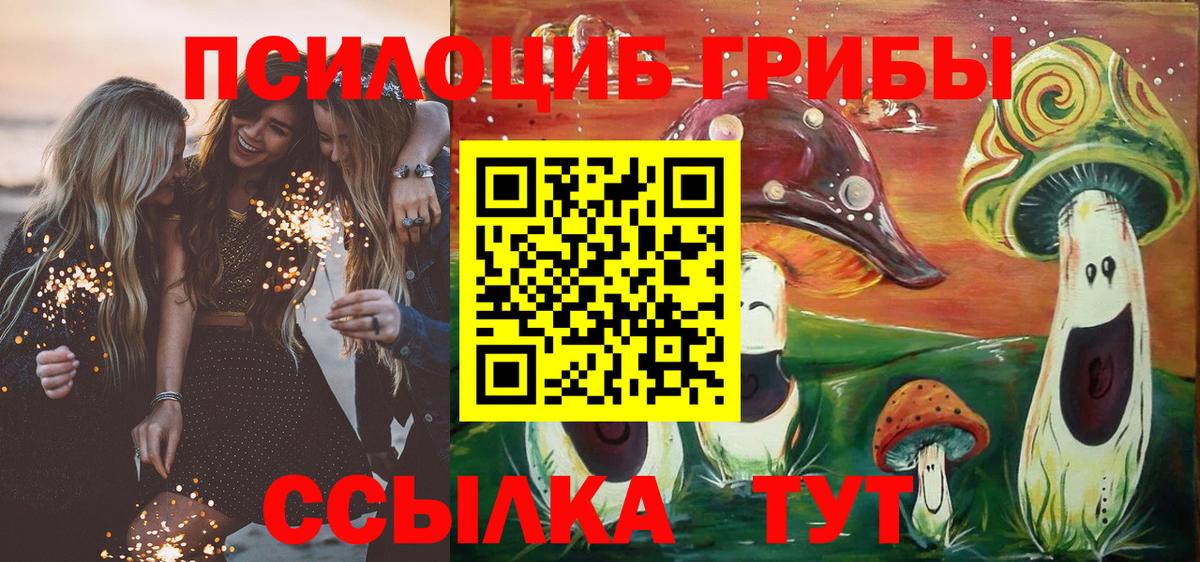 Псилоцибиновые грибы мухоморы Гусиноозёрск